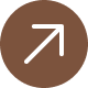 Light brown solid circle with white arrow
pointing to the upper right